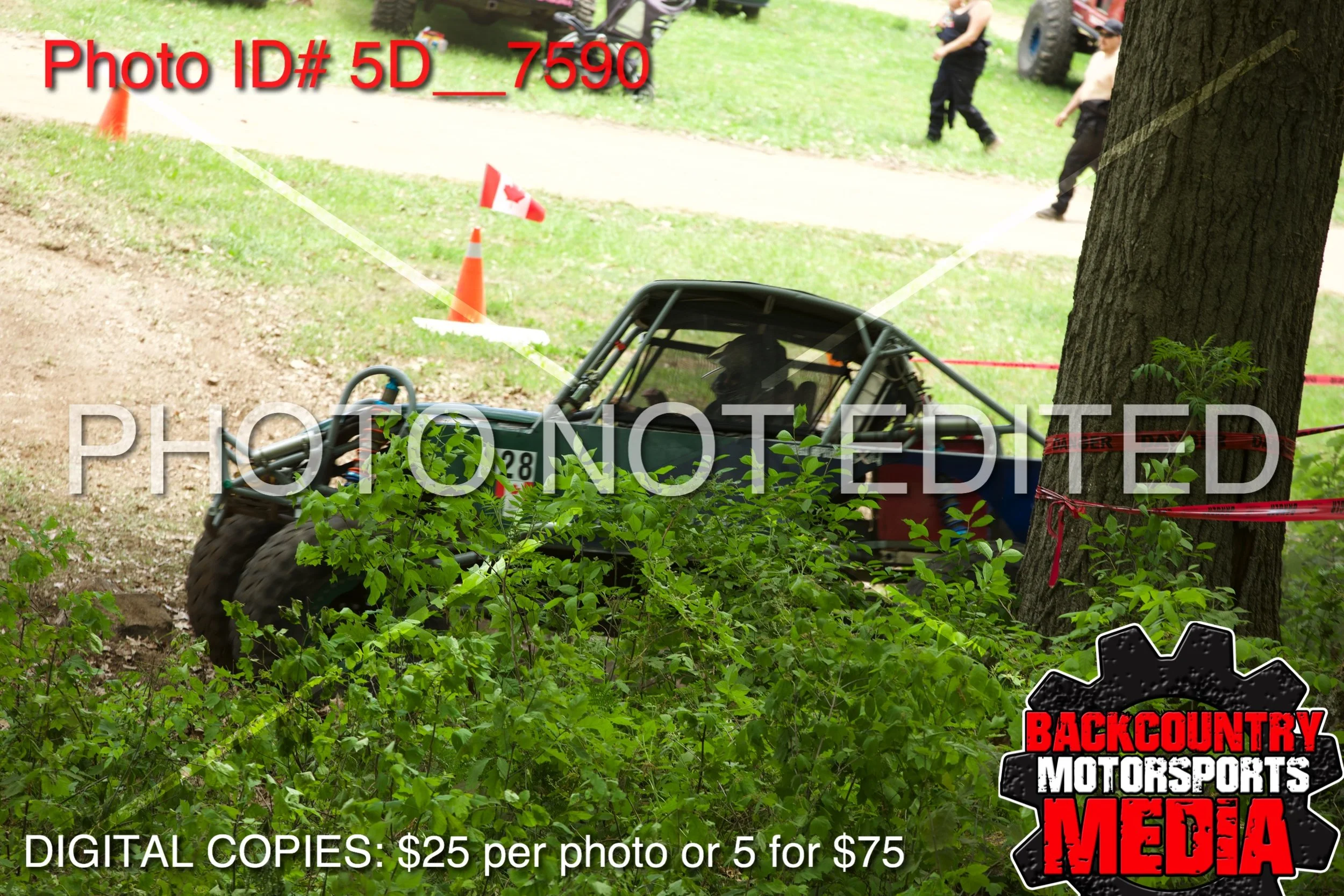 5D__7590.jpg