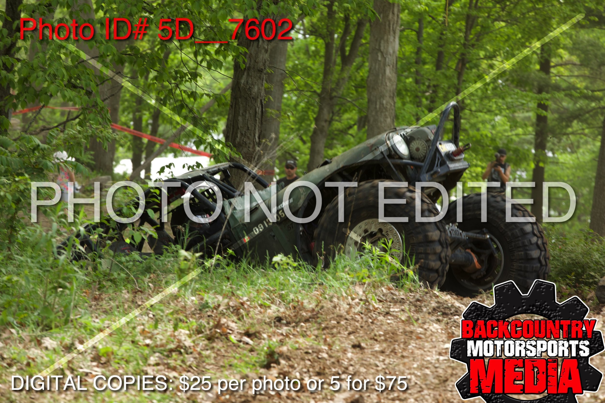 5D__7602.jpg
