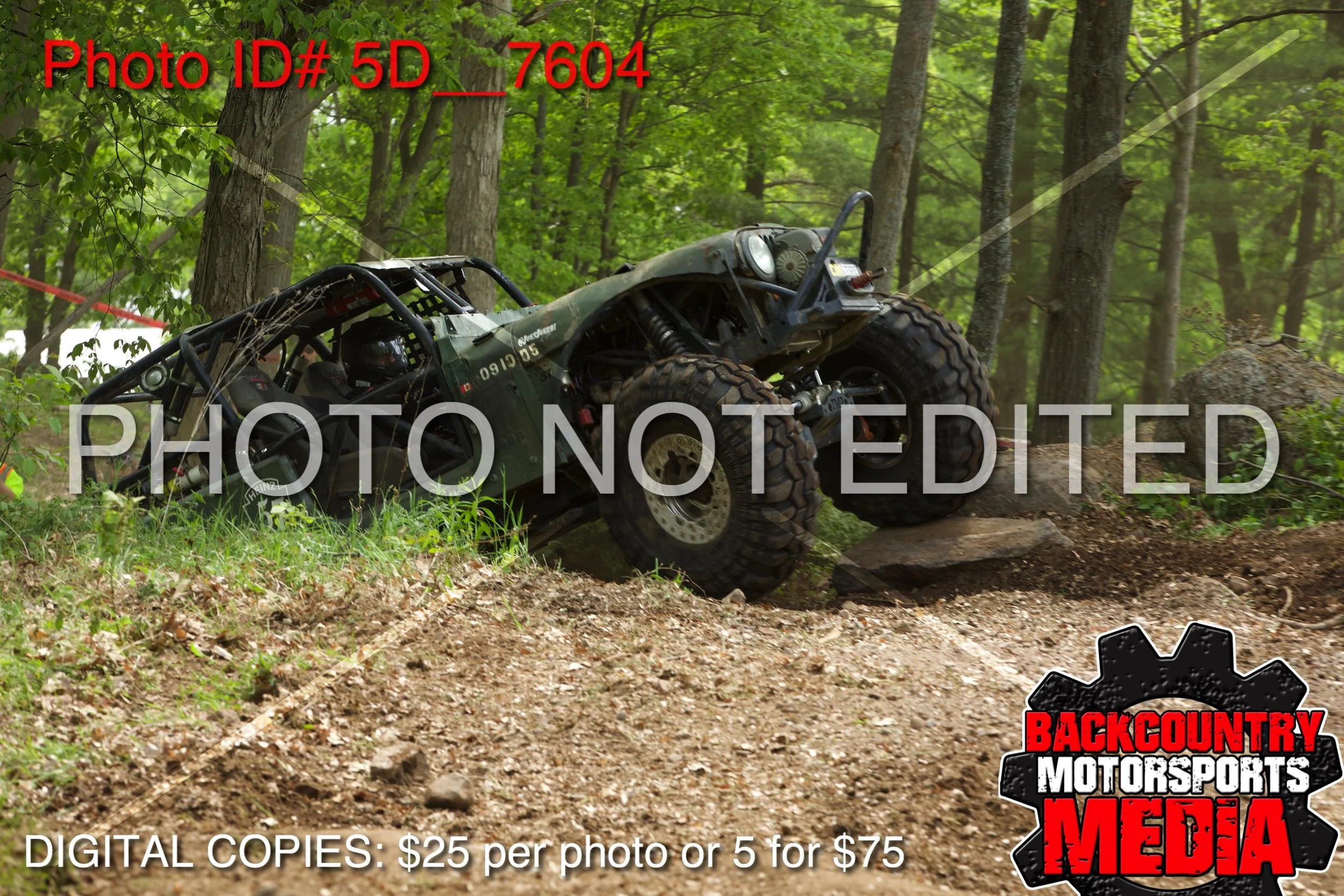 5D__7604.jpg