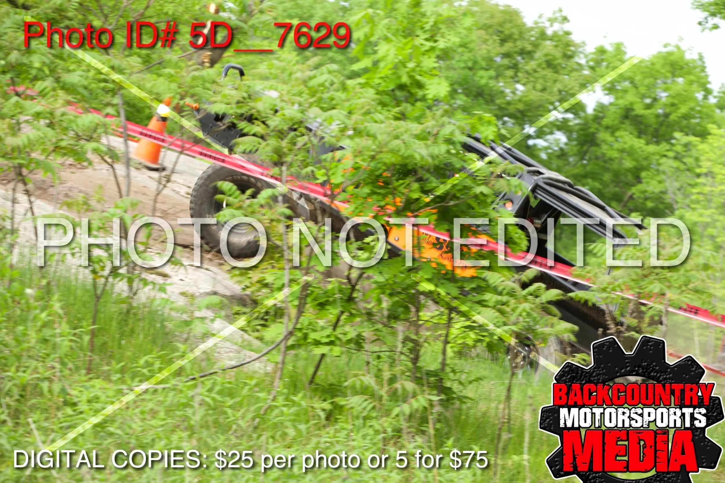5D__7629.jpg