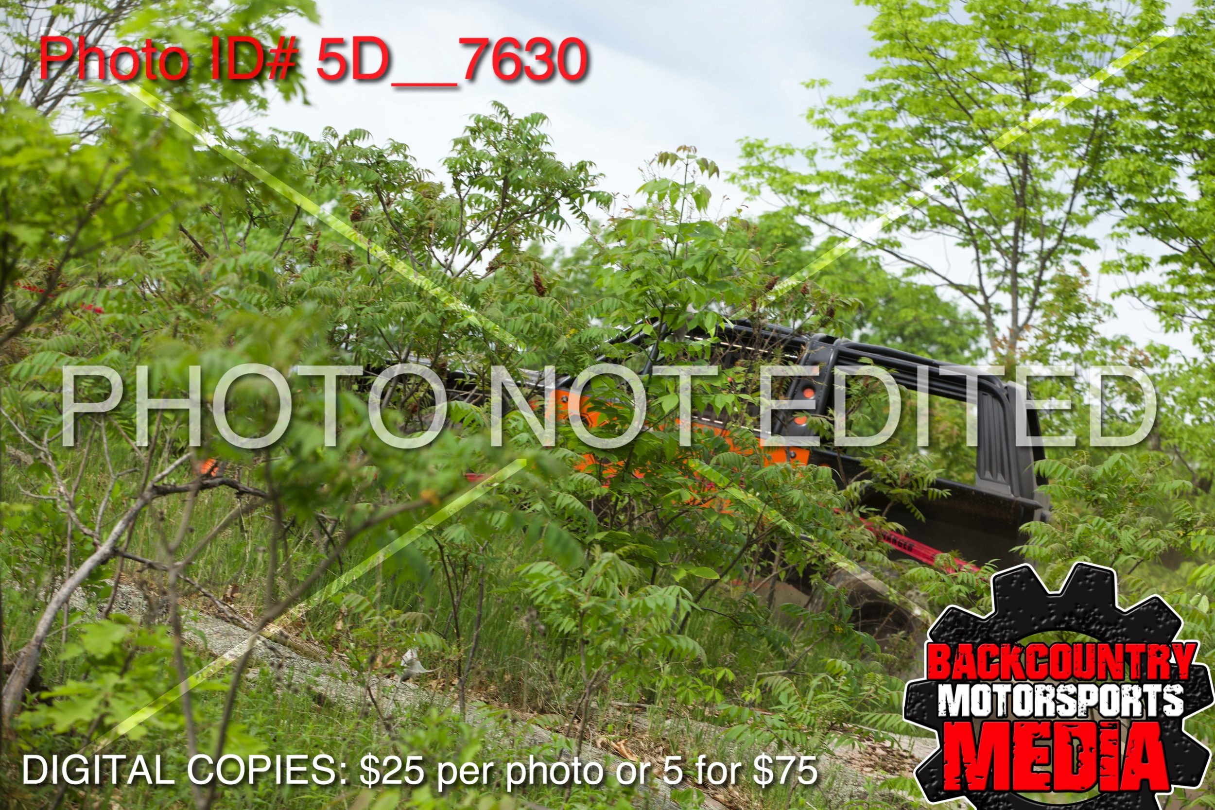 5D__7630.jpg