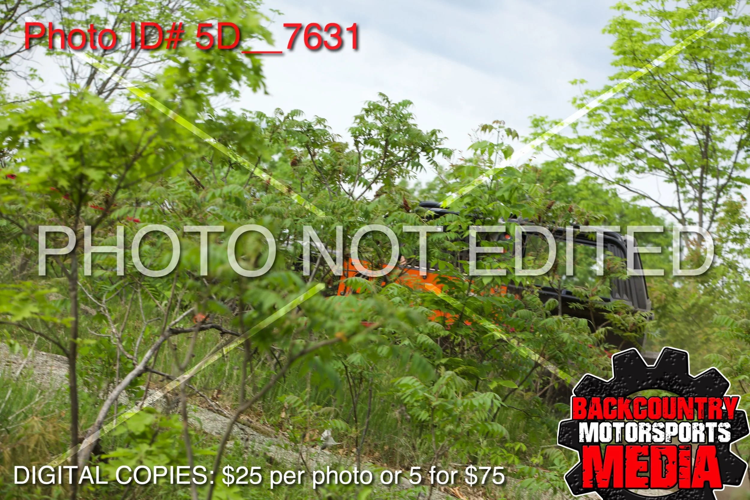 5D__7631.jpg
