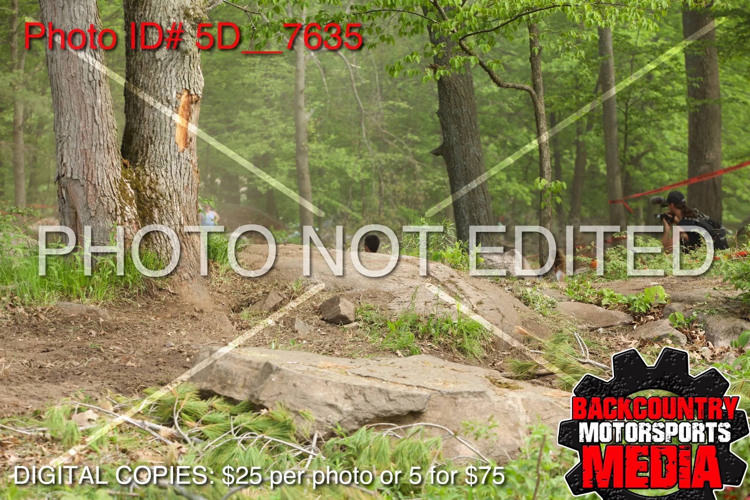5D__7635.jpg