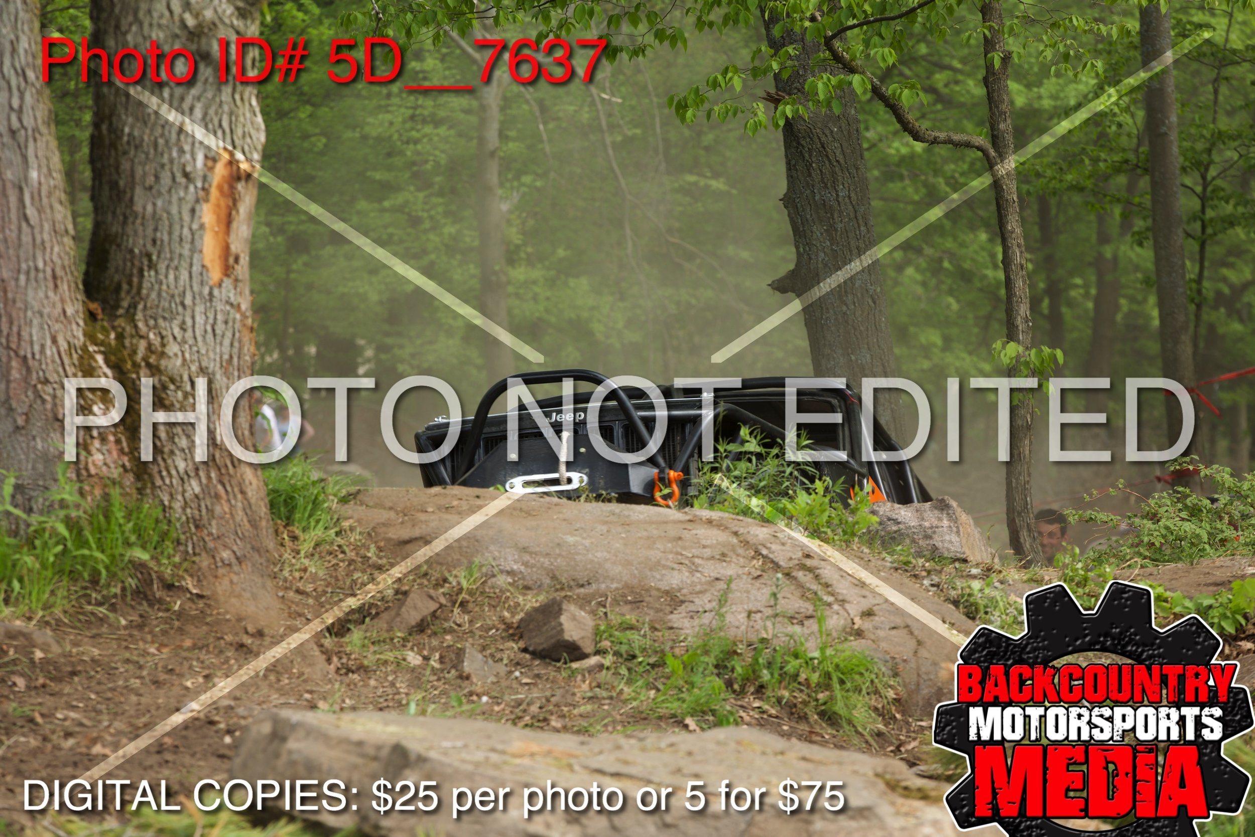 5D__7637.jpg
