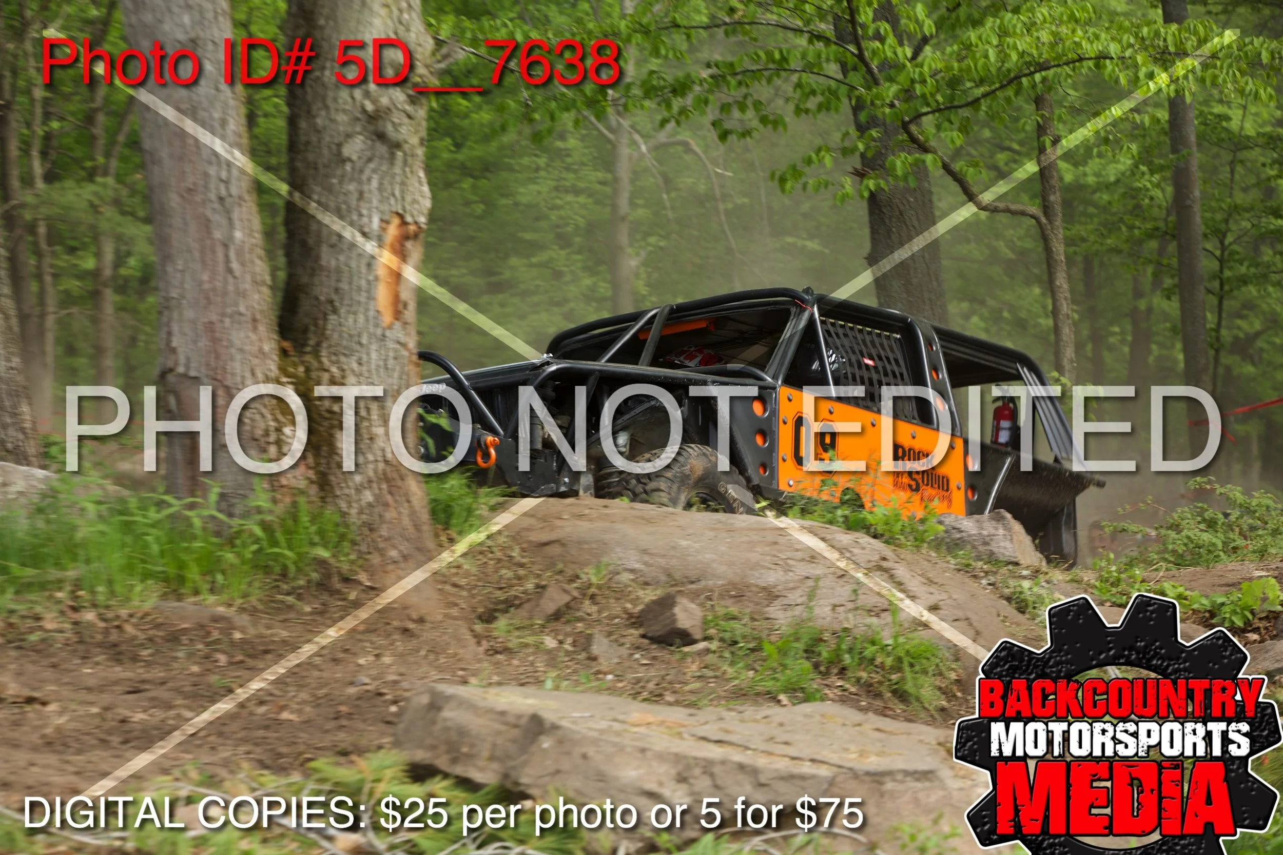 5D__7638.jpg