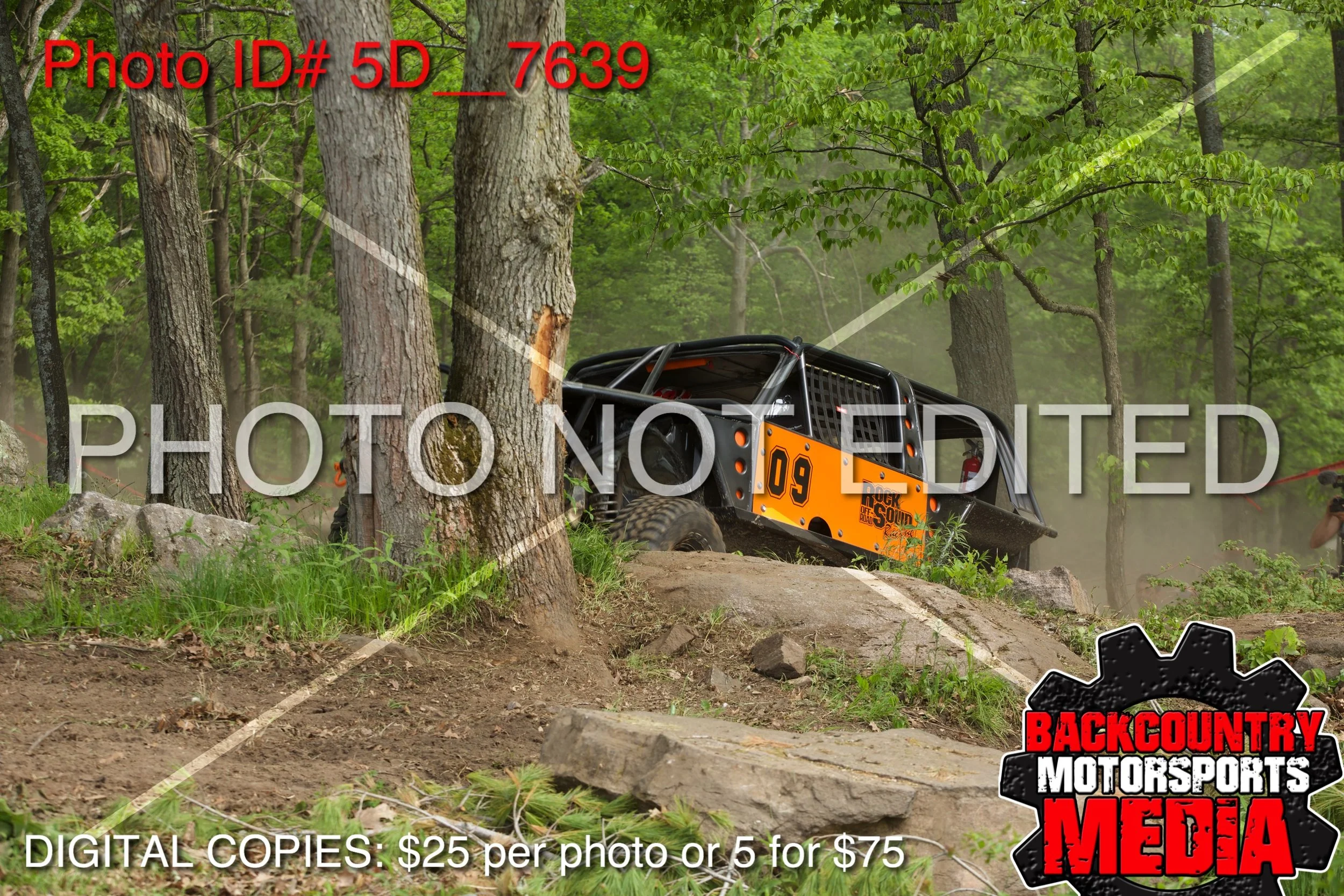 5D__7639.jpg