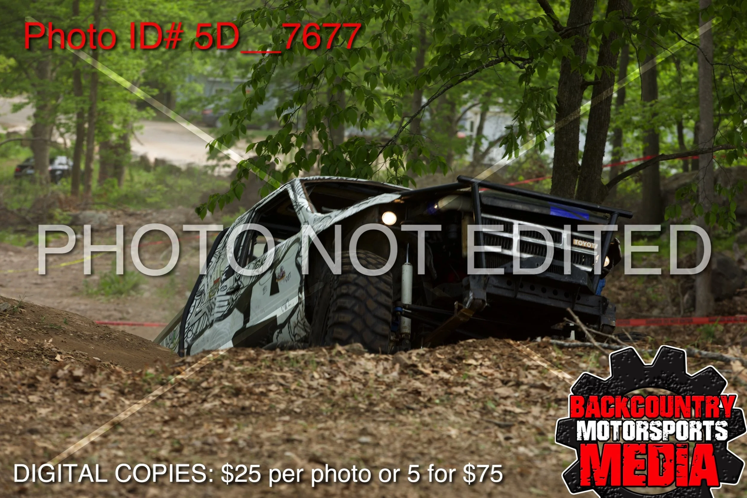 5D__7677.jpg