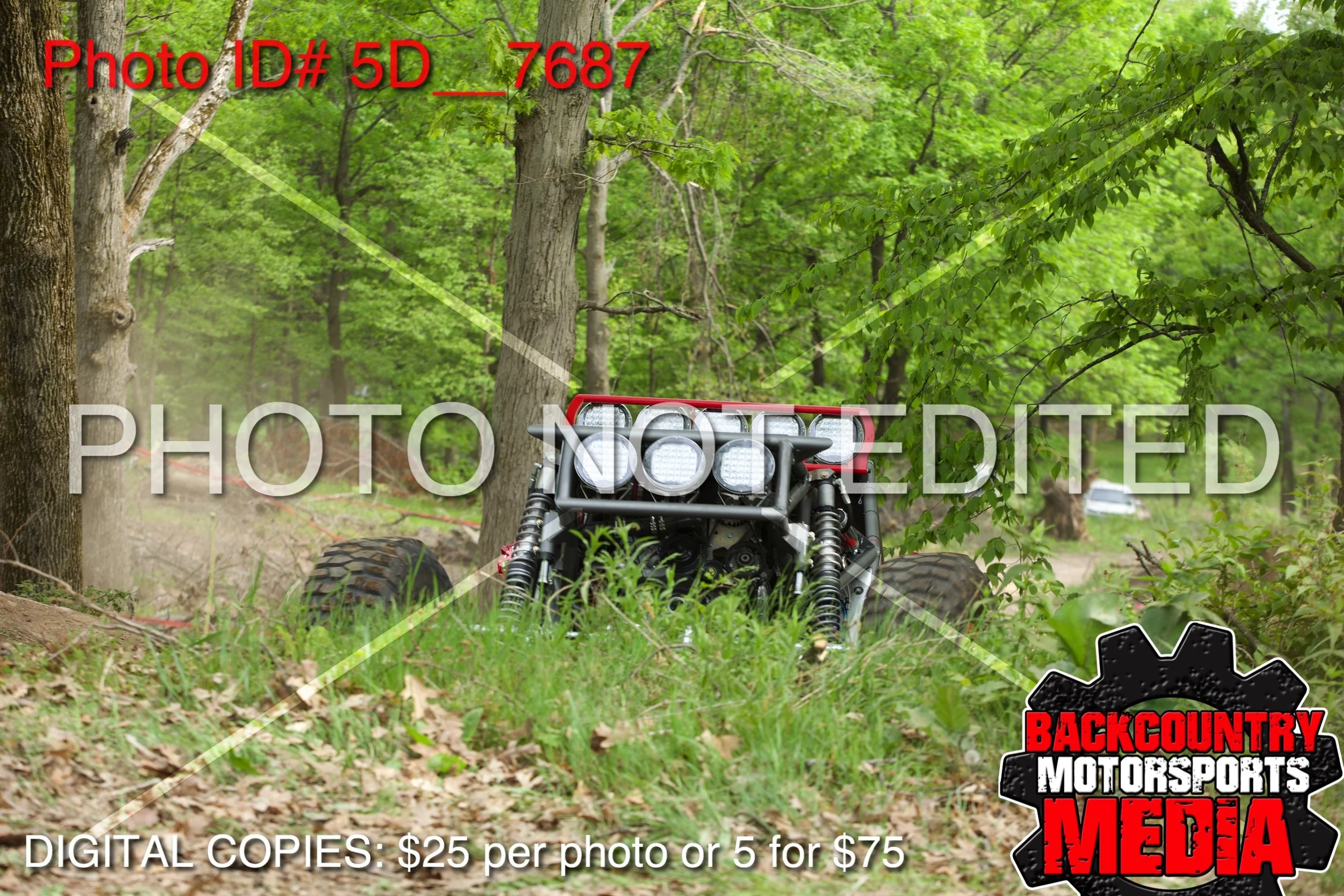 5D__7687.jpg