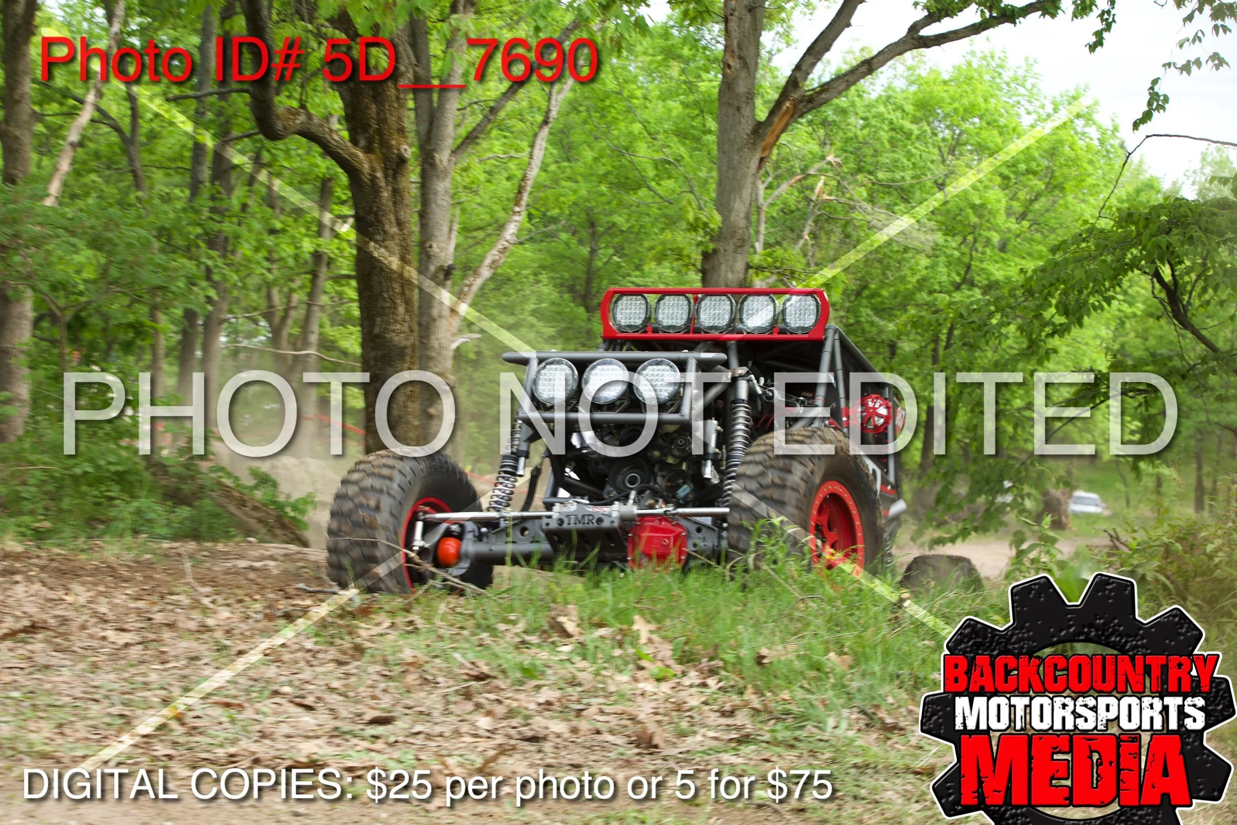 5D__7690.jpg