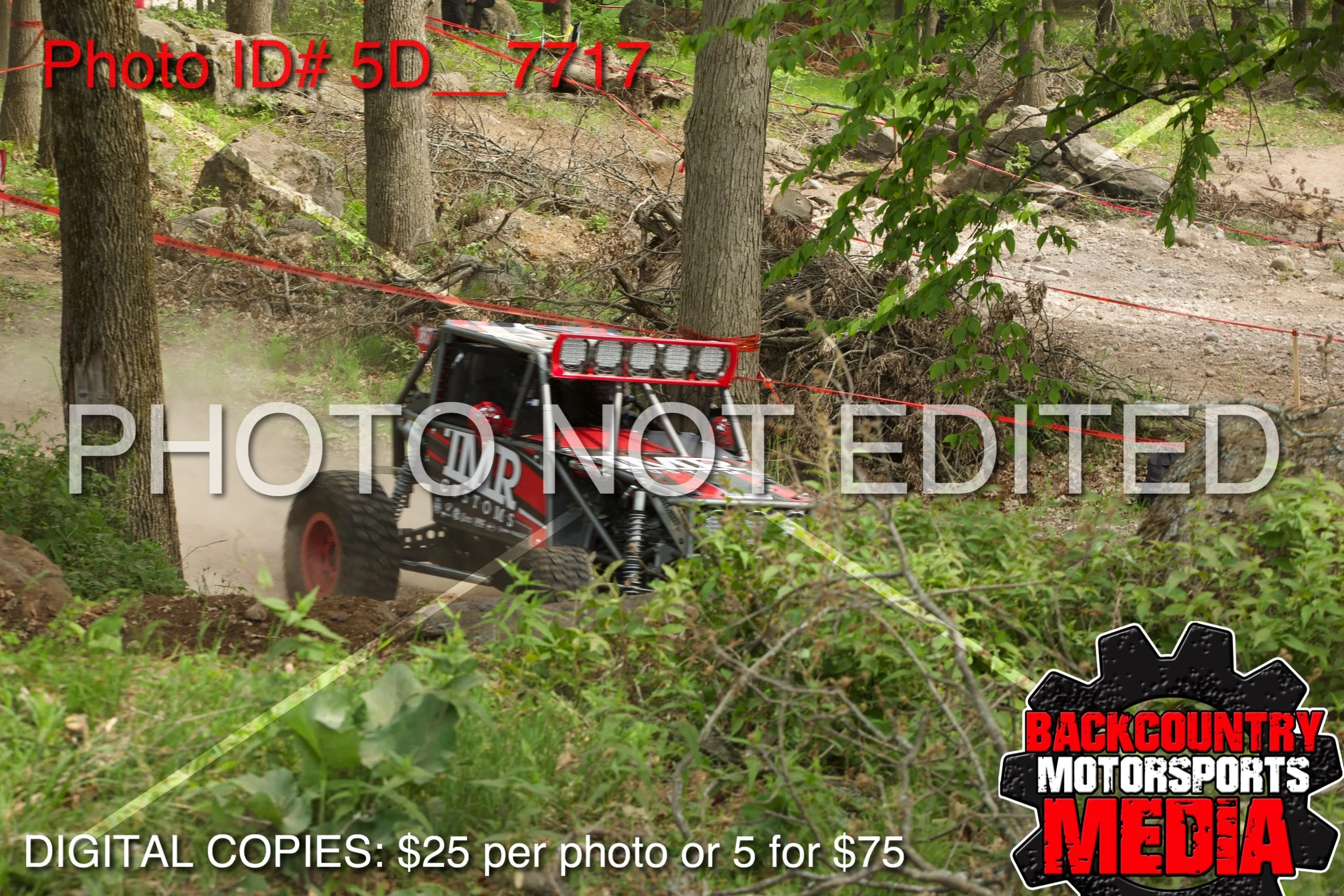 5D__7717.jpg