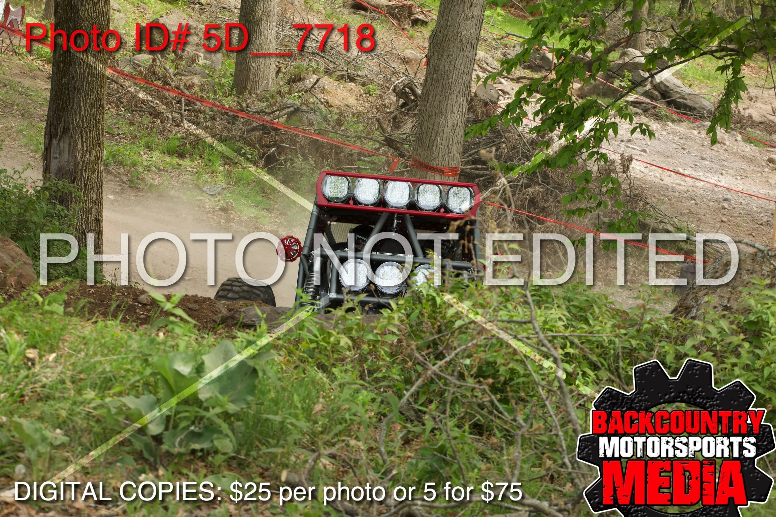 5D__7718.jpg
