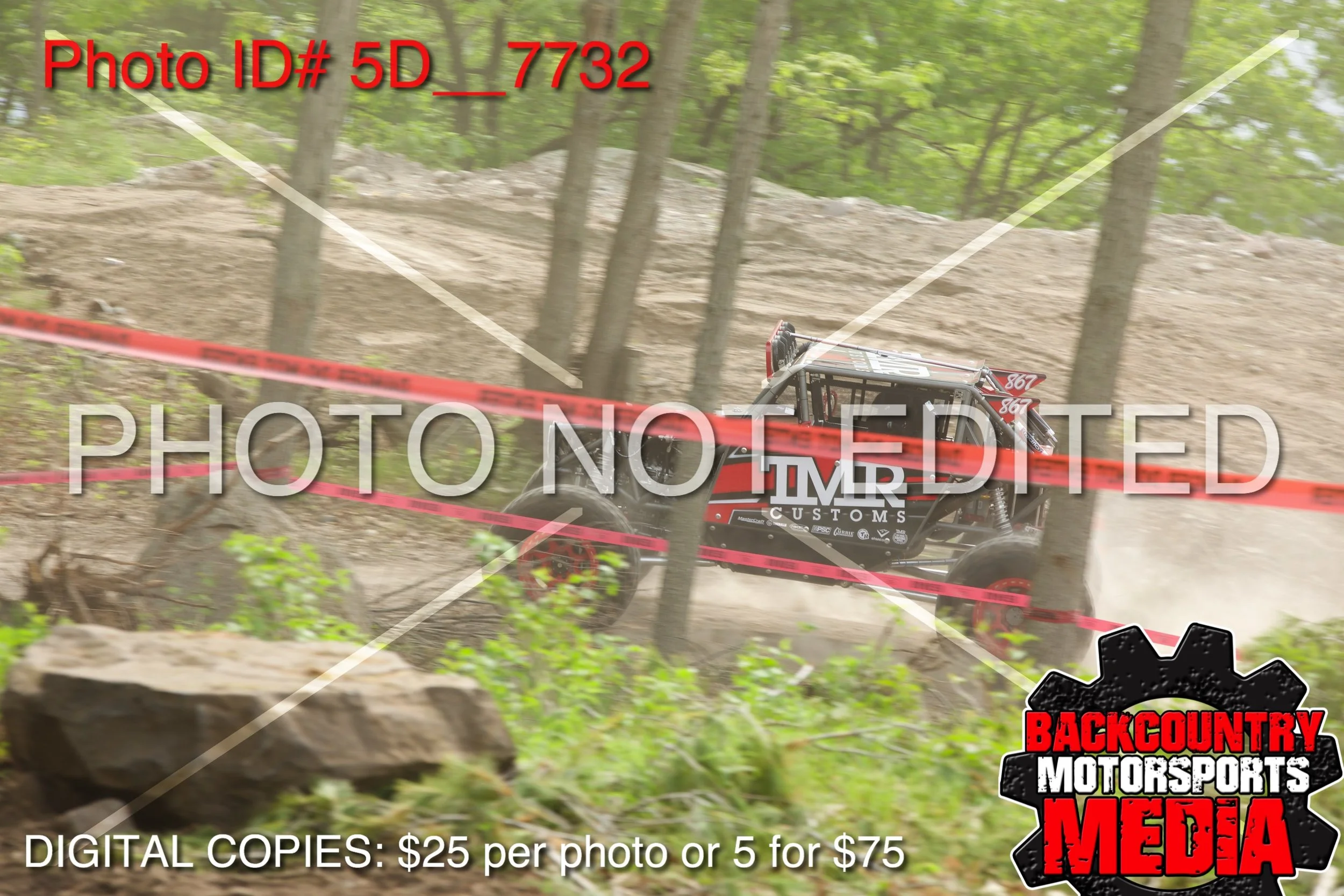 5D__7732.jpg