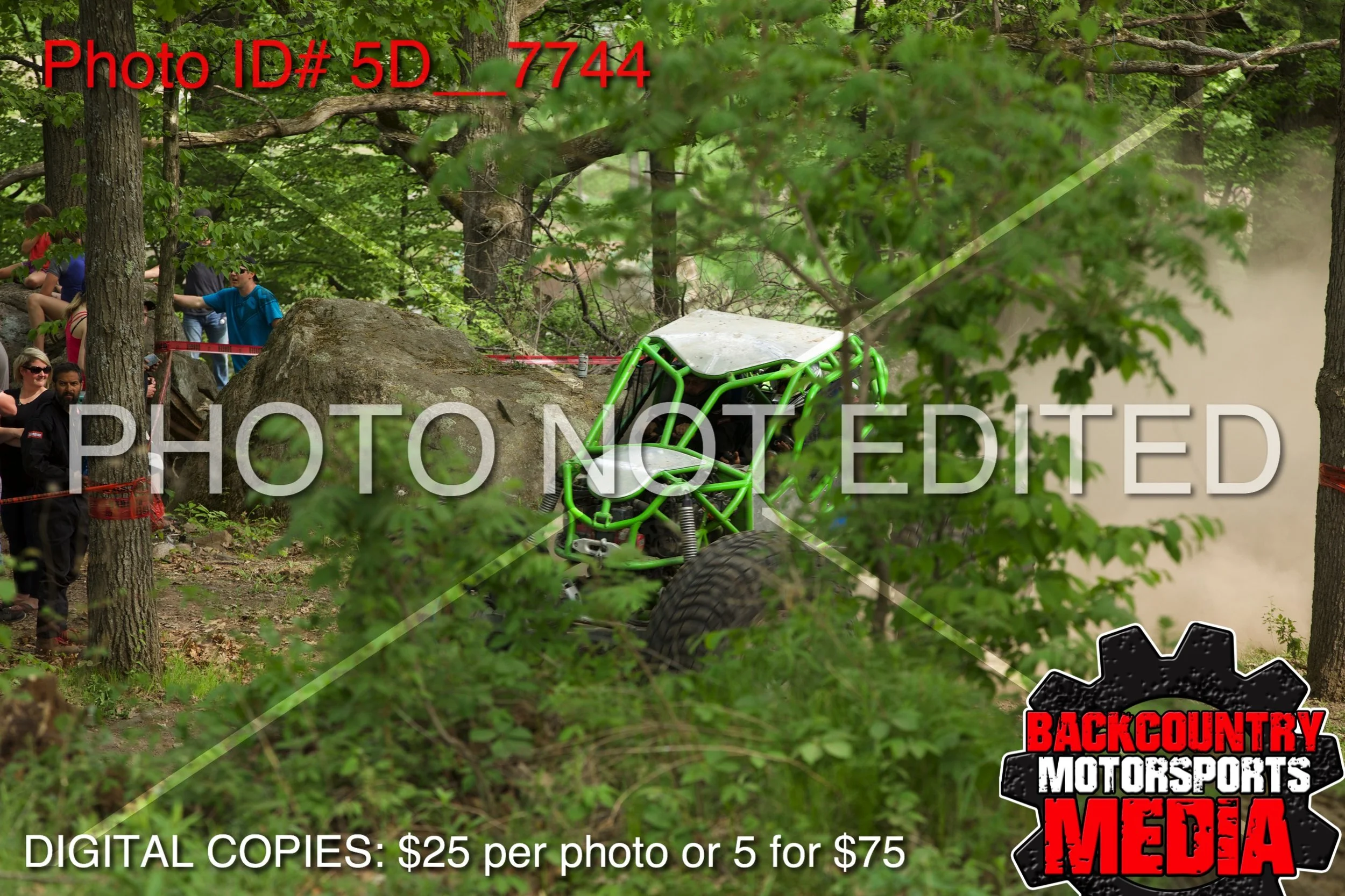 5D__7744.jpg