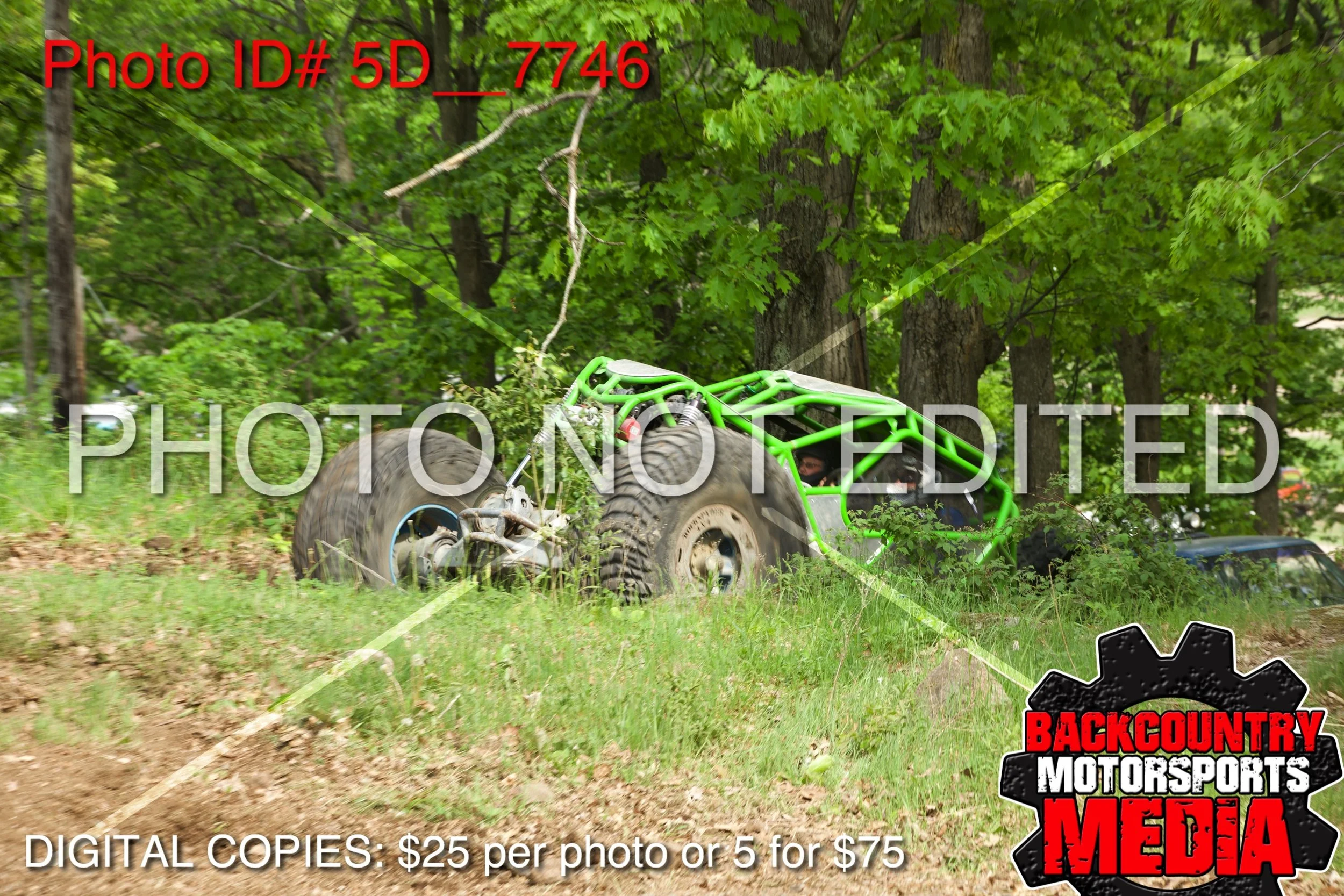 5D__7746.jpg
