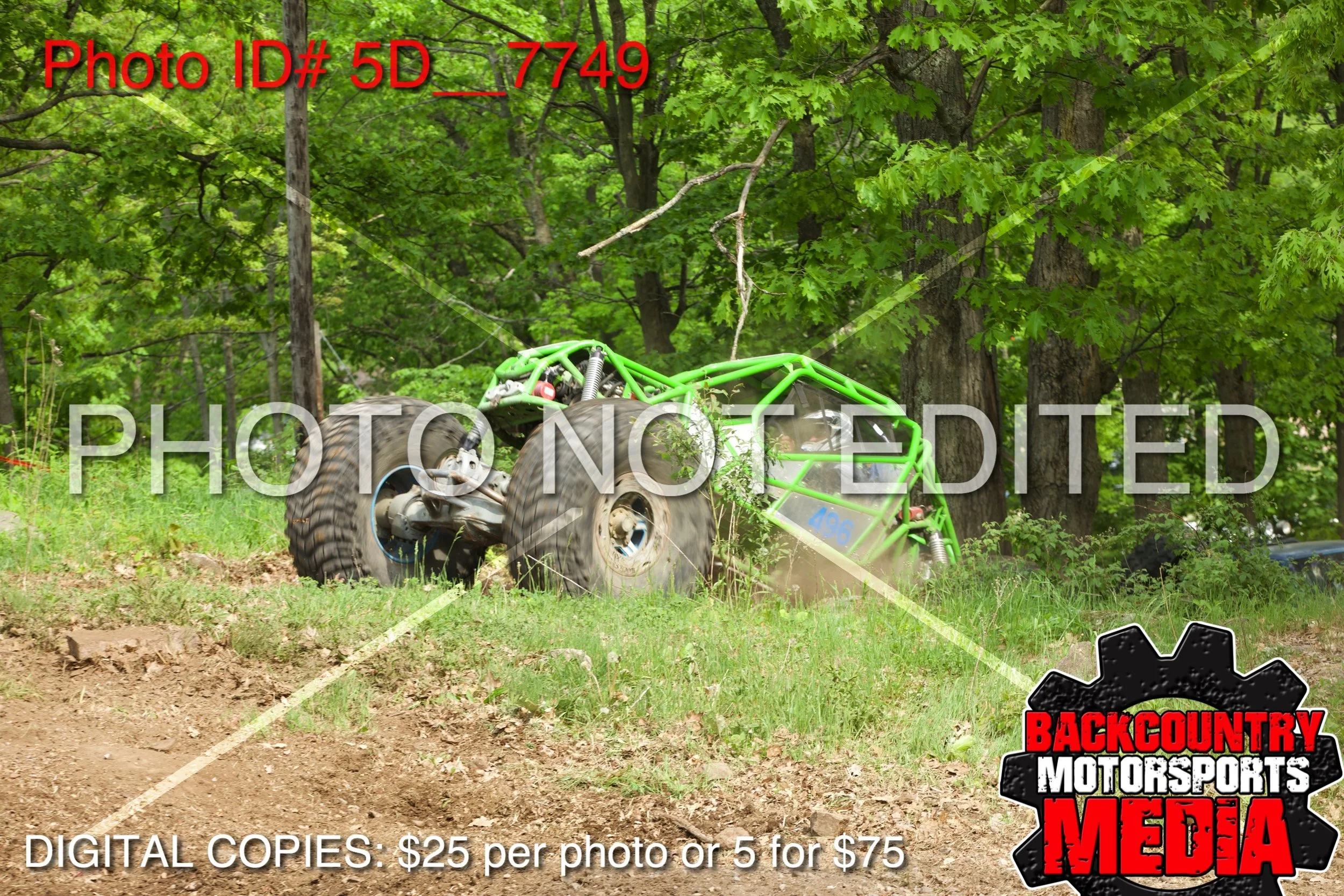 5D__7749.jpg