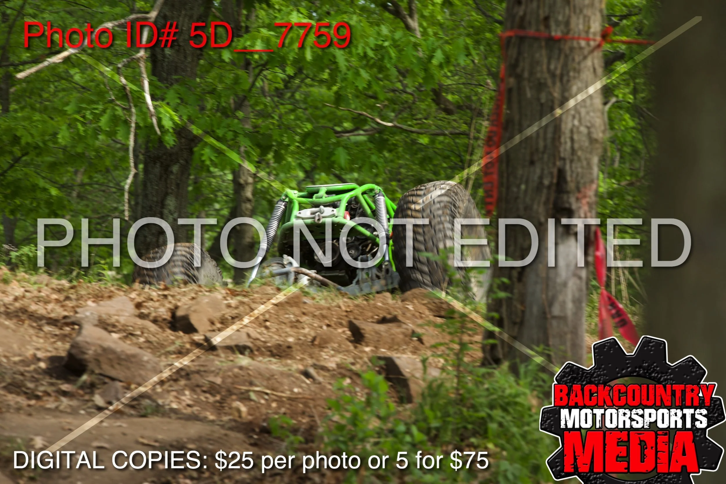 5D__7759.jpg