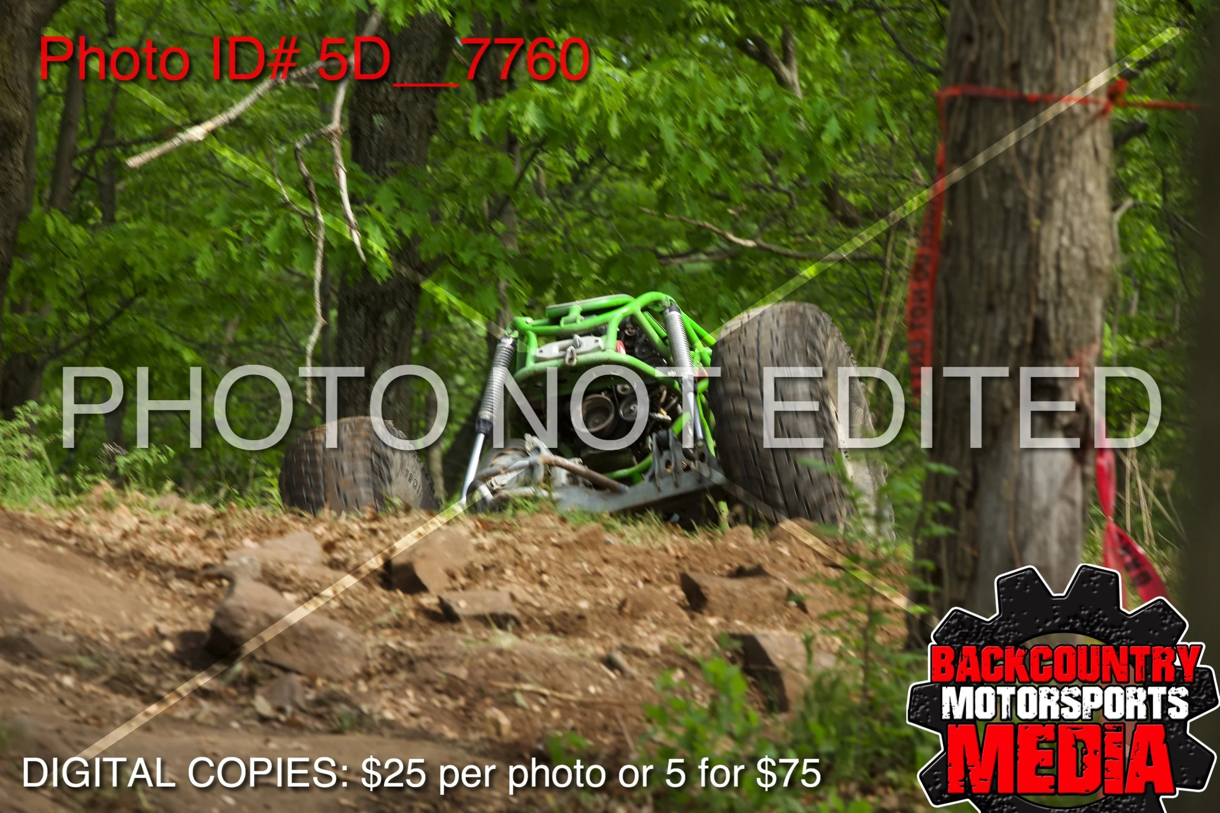 5D__7760.jpg