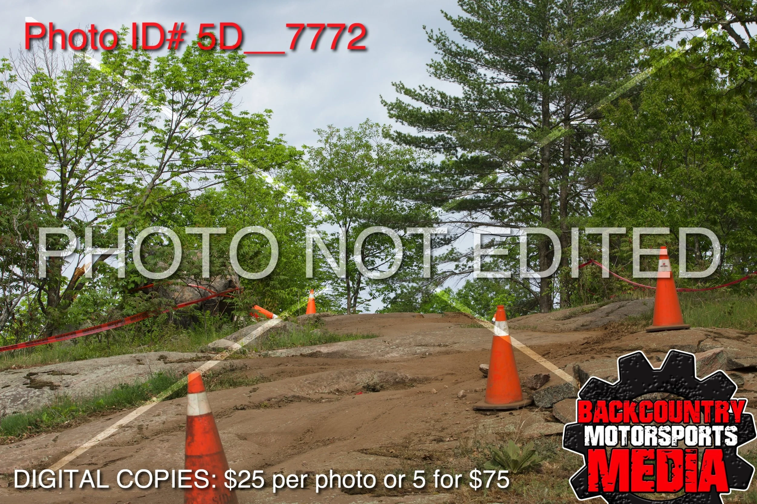 5D__7772.jpg