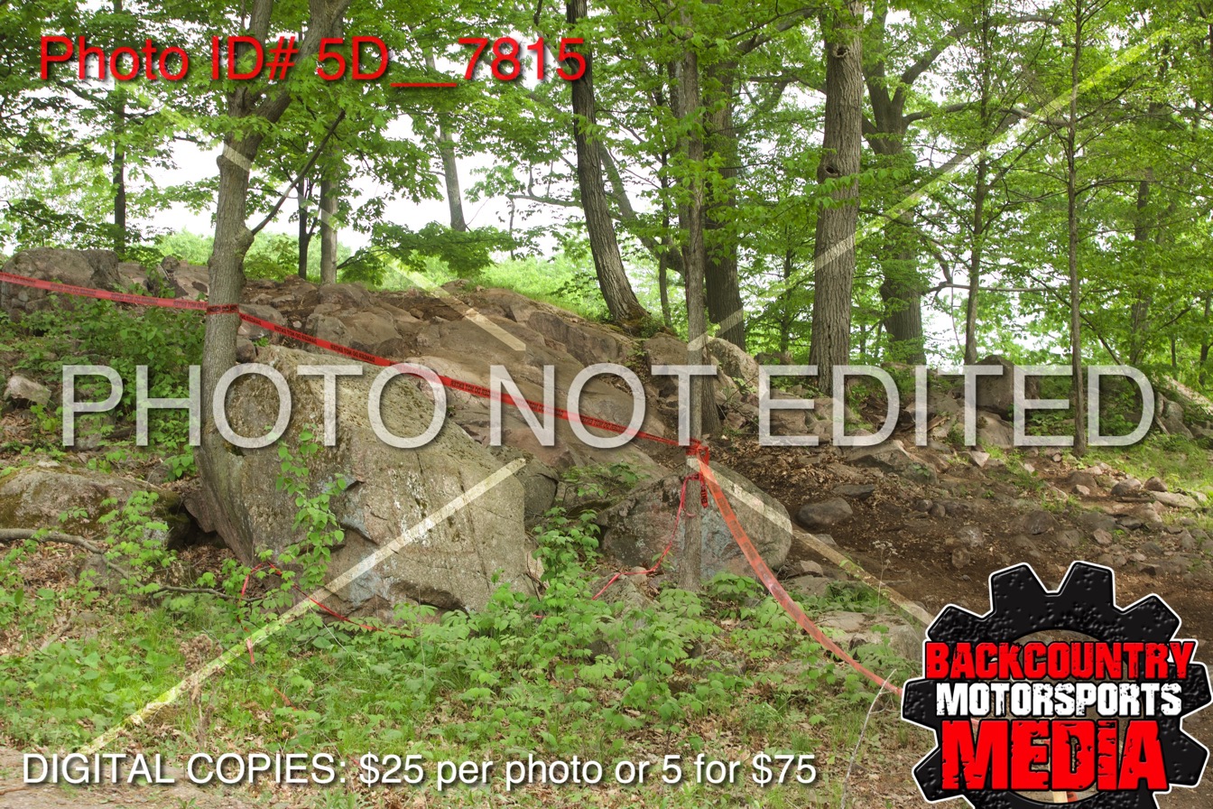 5D__7815.jpg