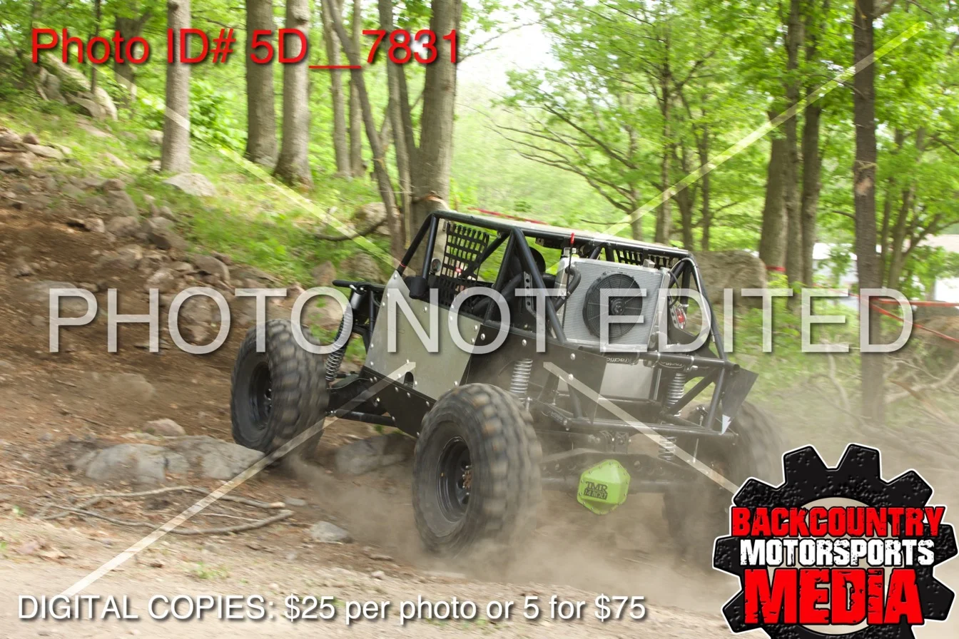5D__7831.jpg