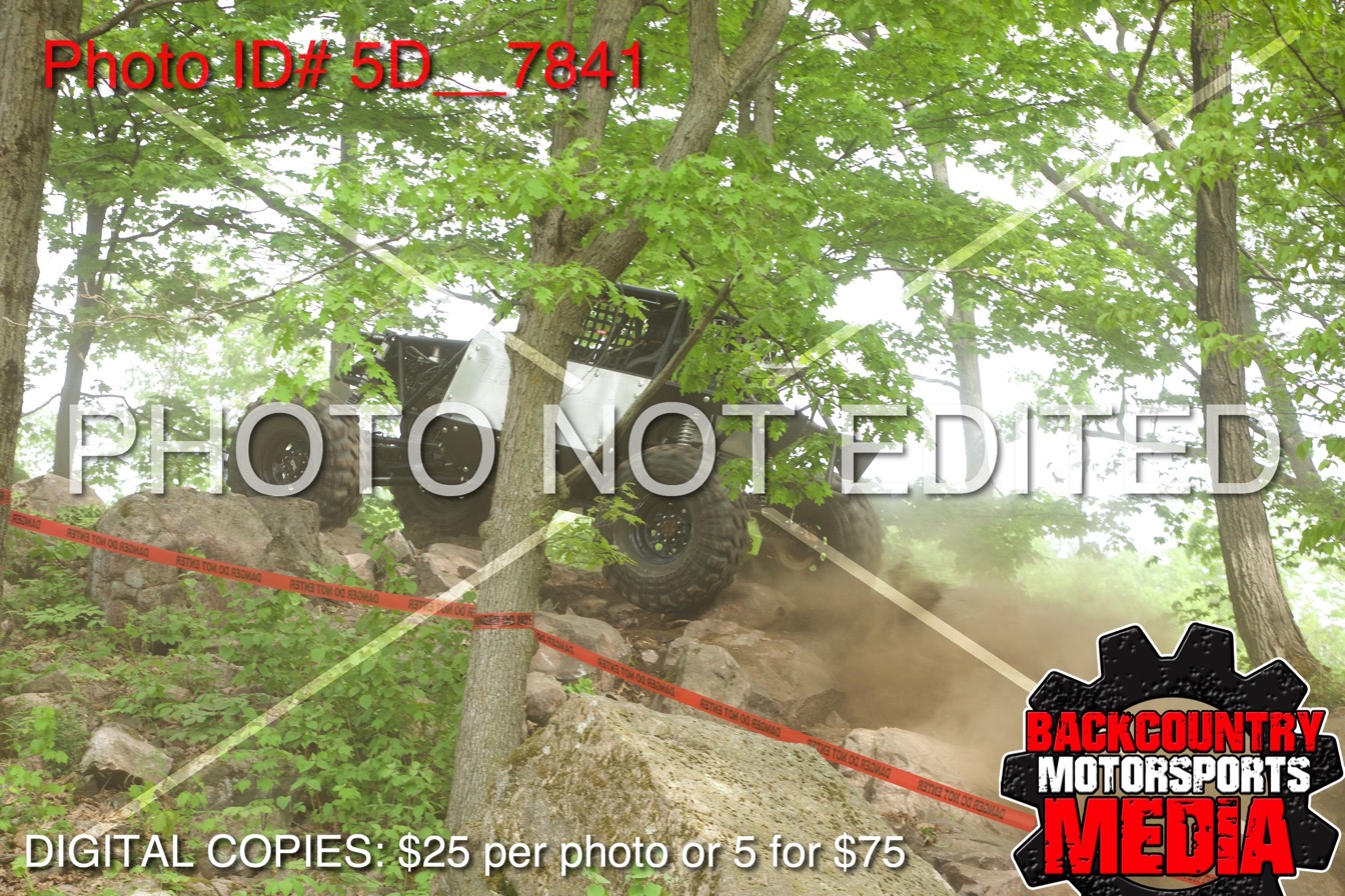 5D__7841.jpg