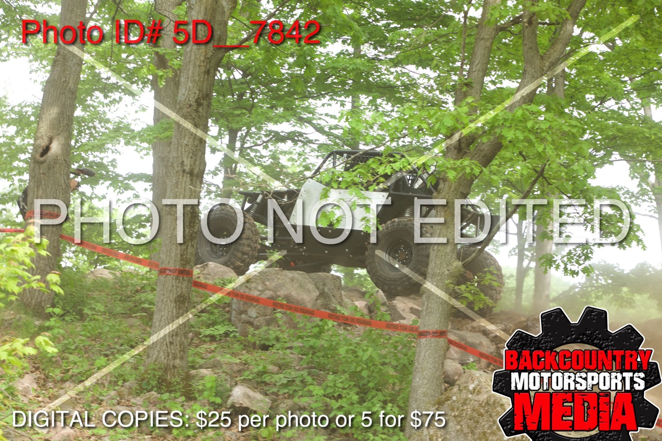 5D__7842.jpg