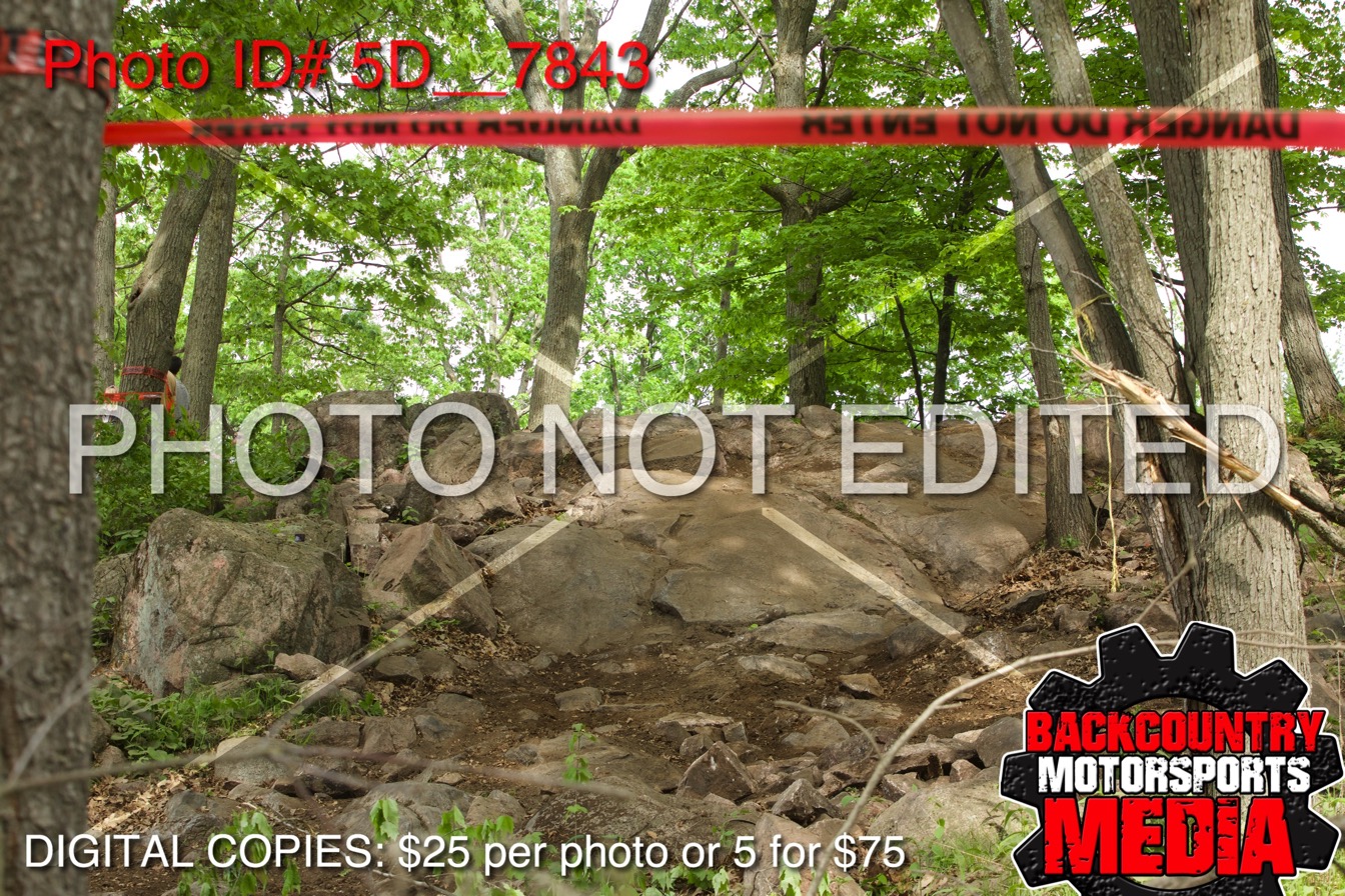 5D__7843.jpg