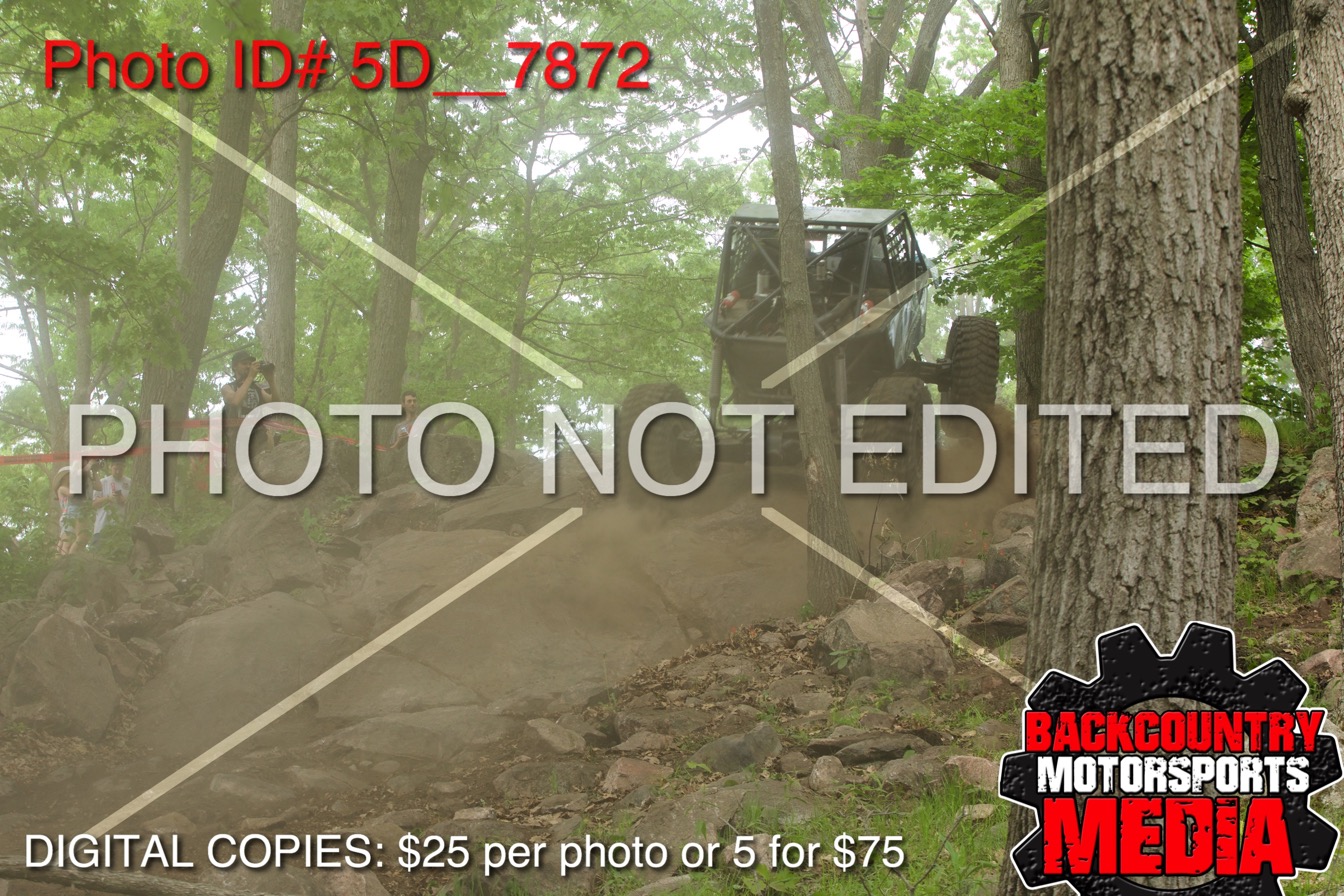 5D__7872.jpg