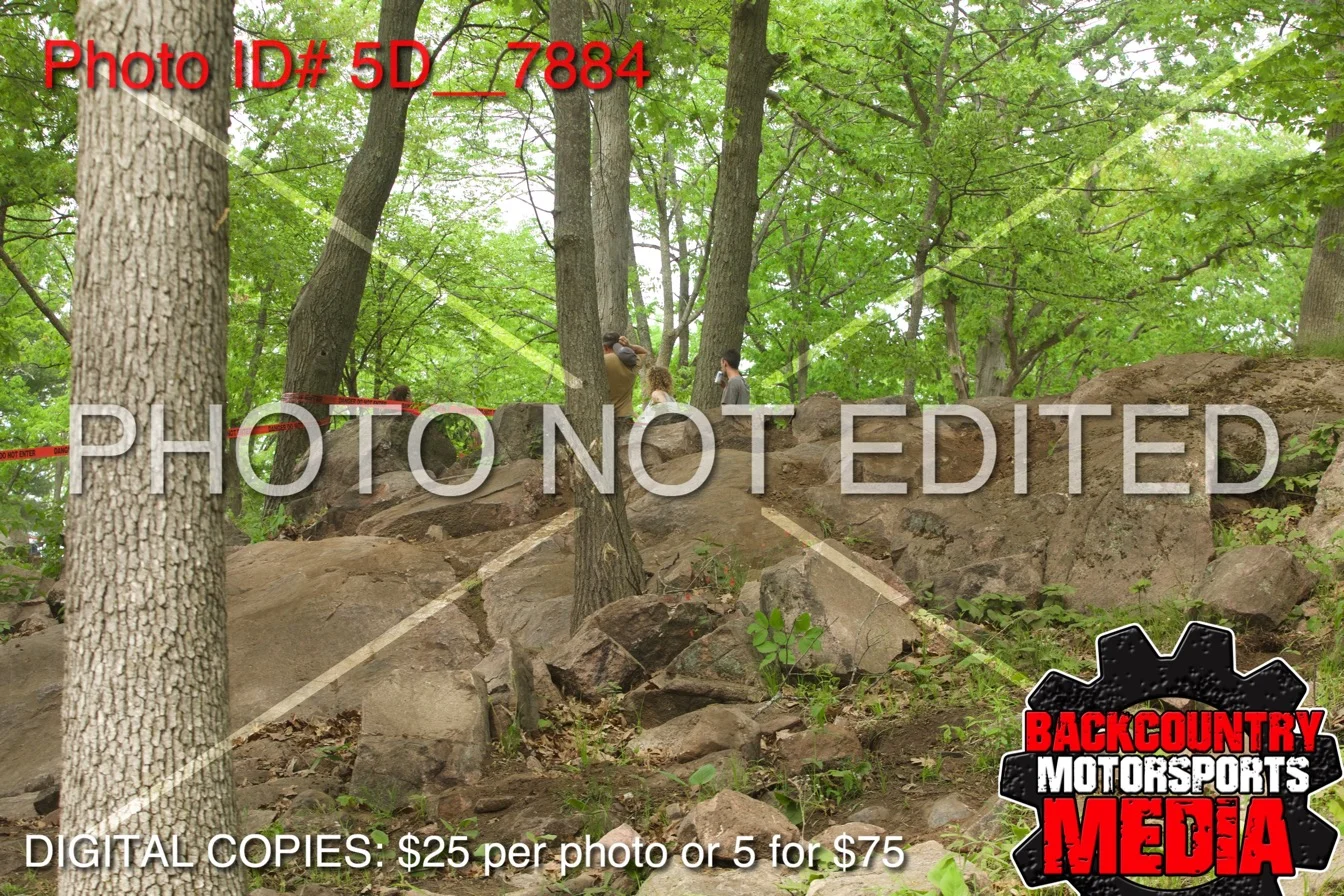 5D__7884.jpg