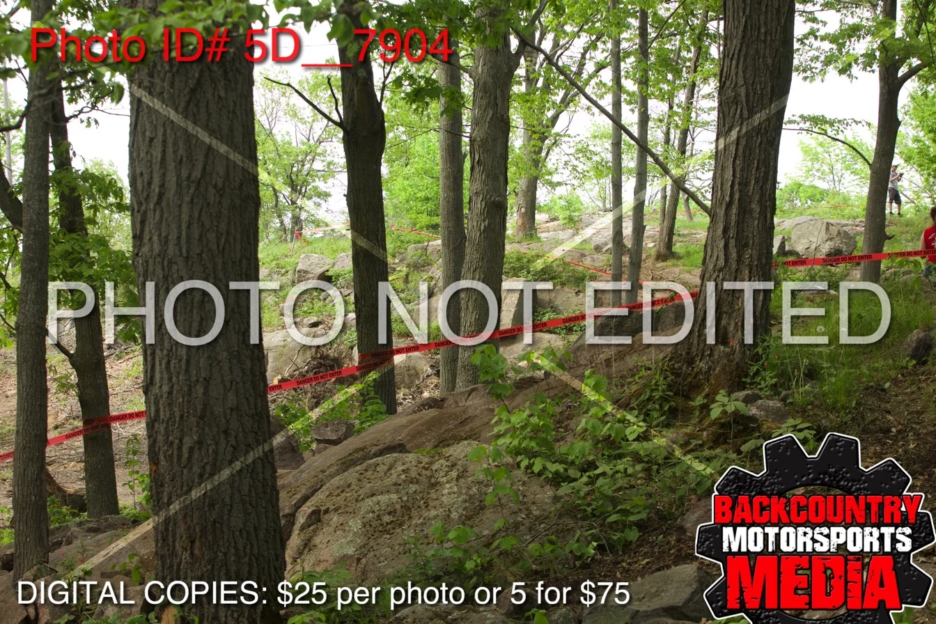 5D__7904.jpg