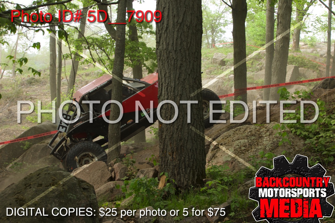 5D__7909.jpg