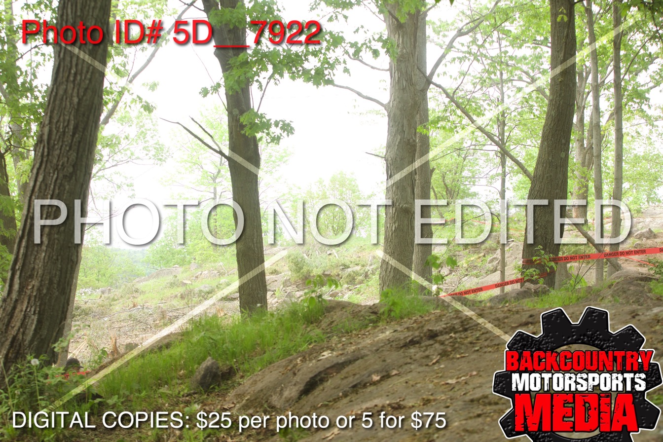 5D__7922.jpg