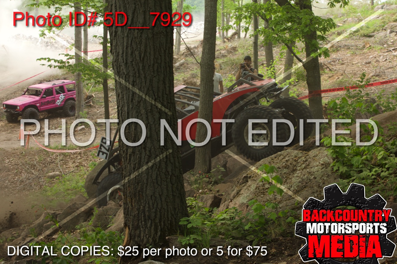 5D__7929.jpg