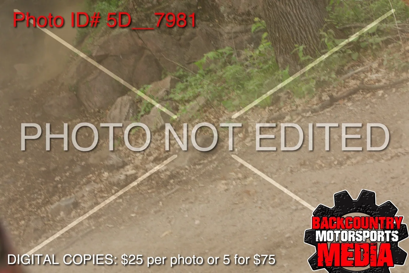 5D__7981.jpg