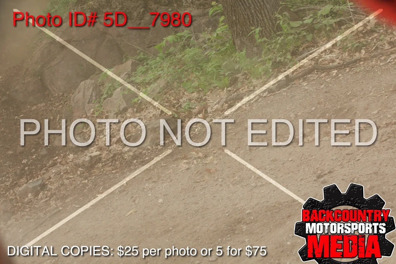 5D__7980.jpg