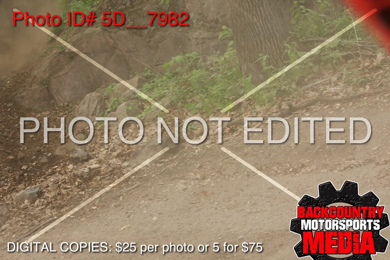 5D__7982.jpg