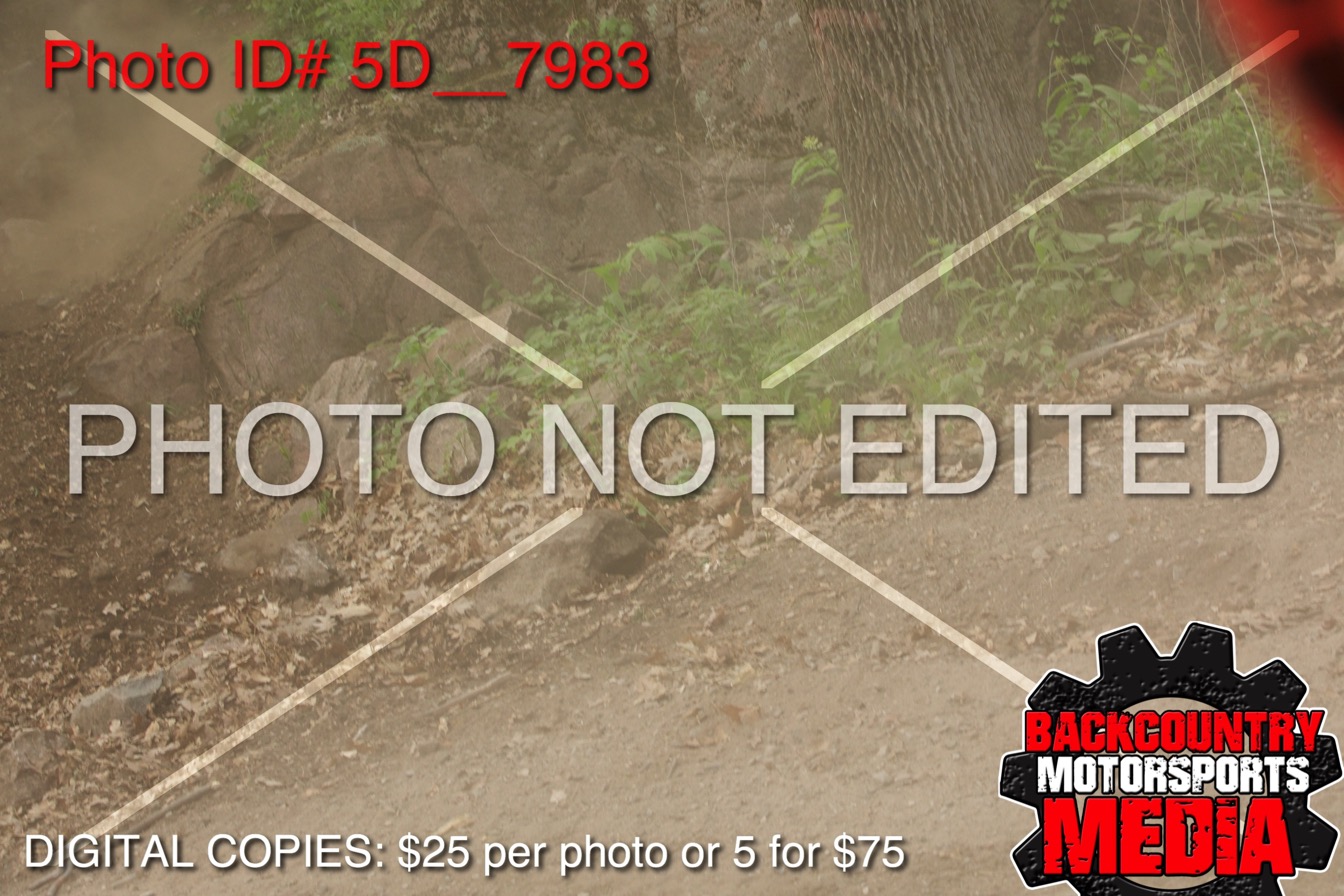 5D__7983.jpg