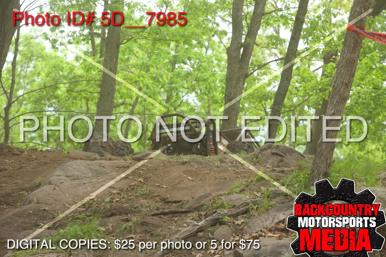 5D__7985.jpg