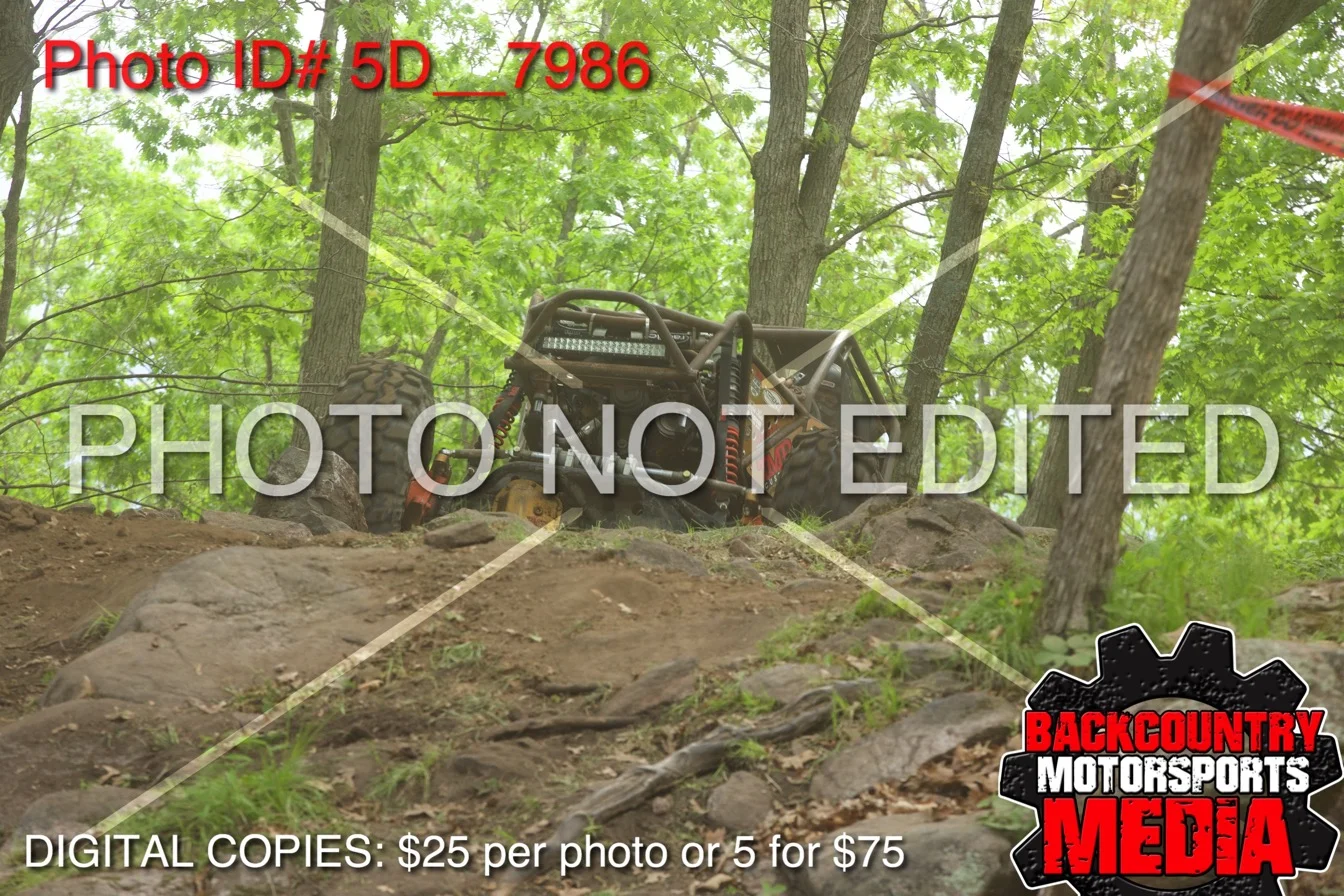 5D__7986.jpg
