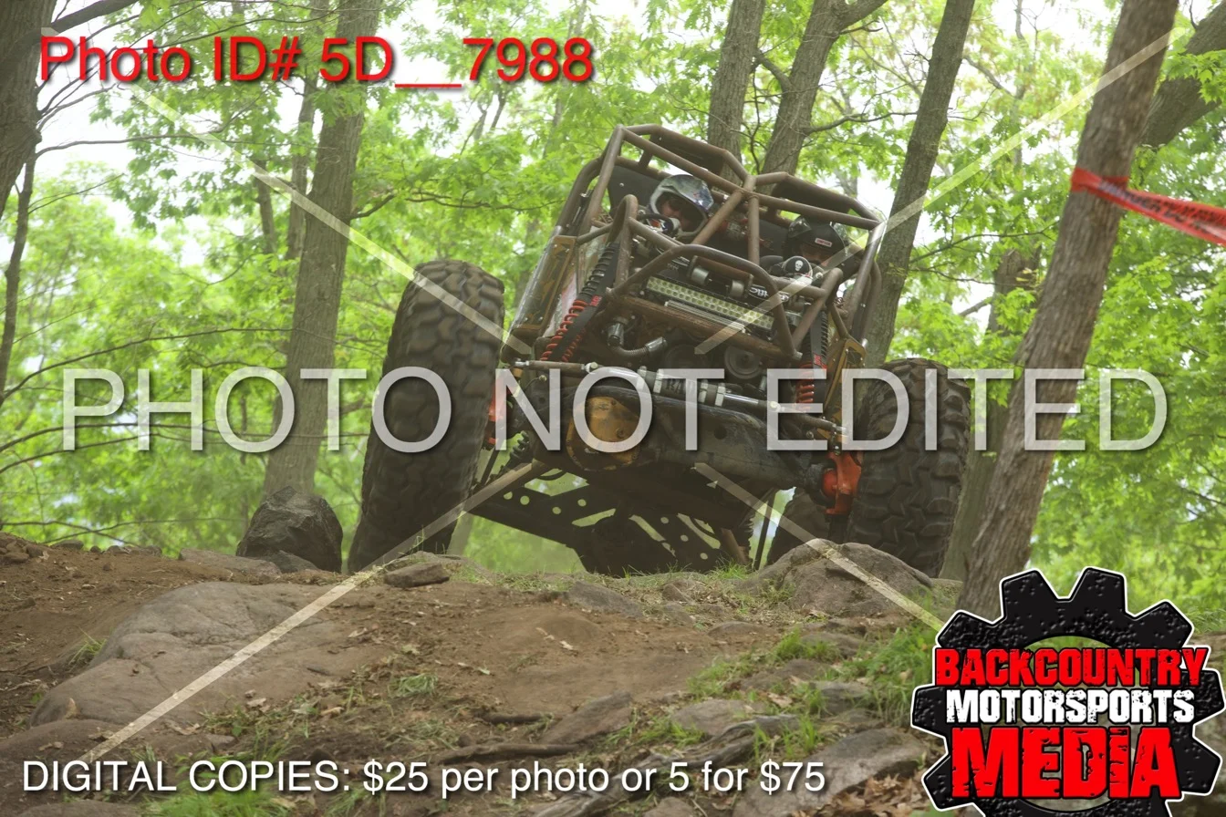 5D__7988.jpg