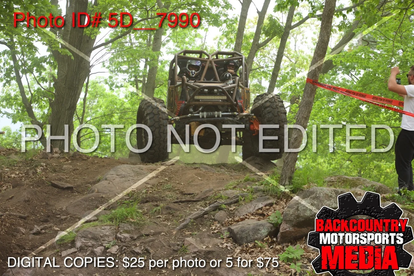 5D__7990.jpg