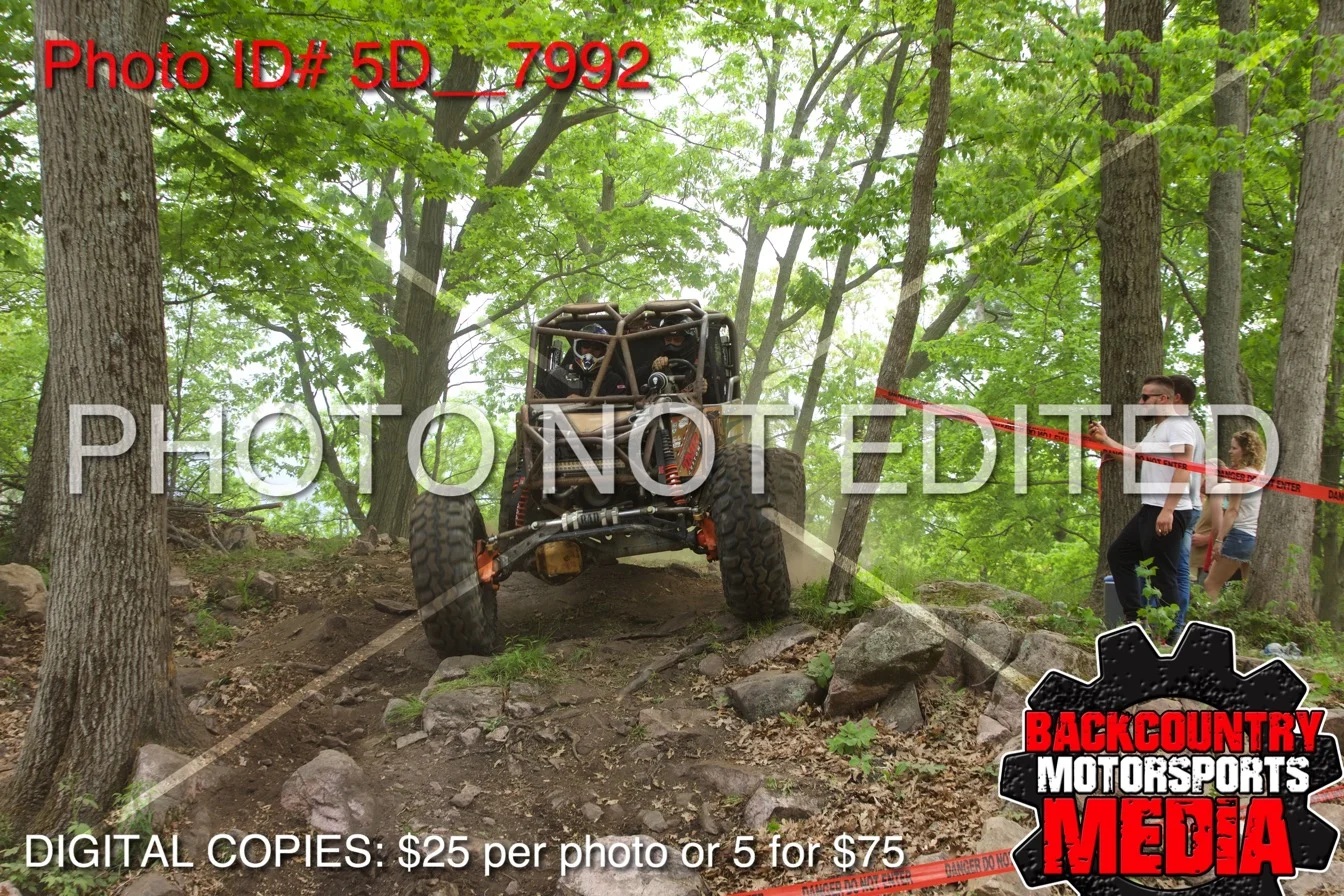5D__7992.jpg