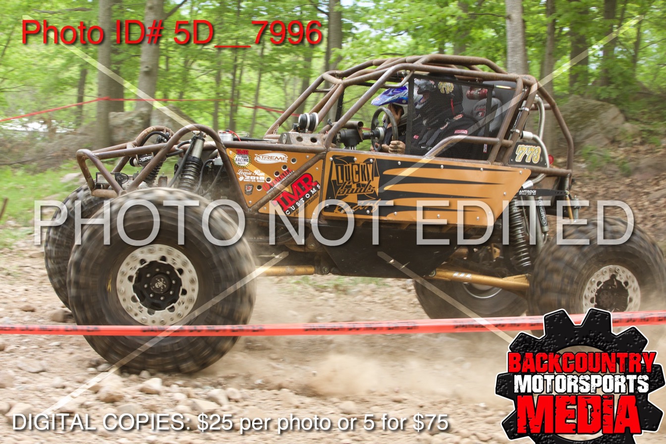 5D__7996.jpg