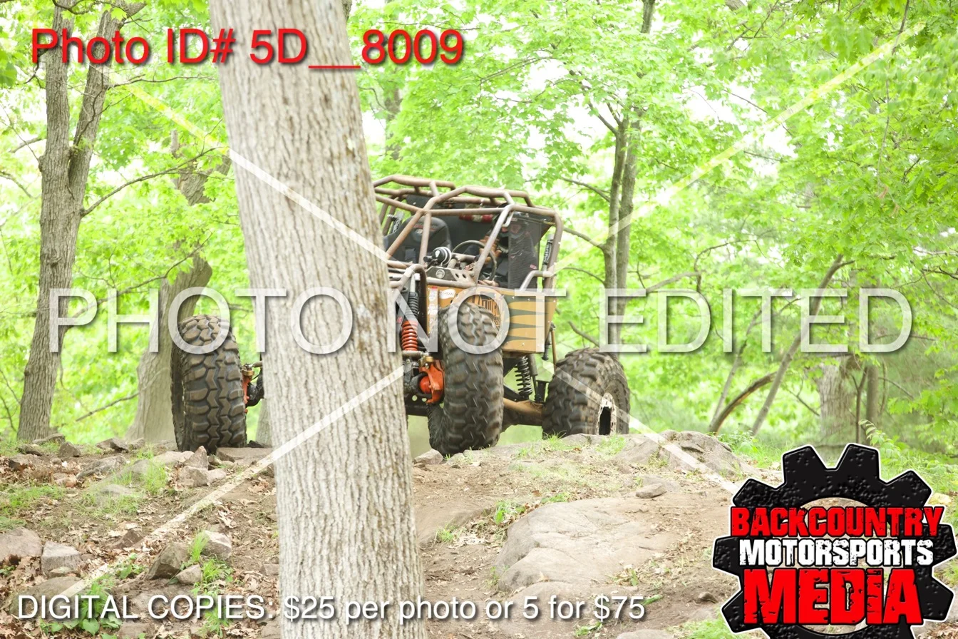 5D__8009.jpg
