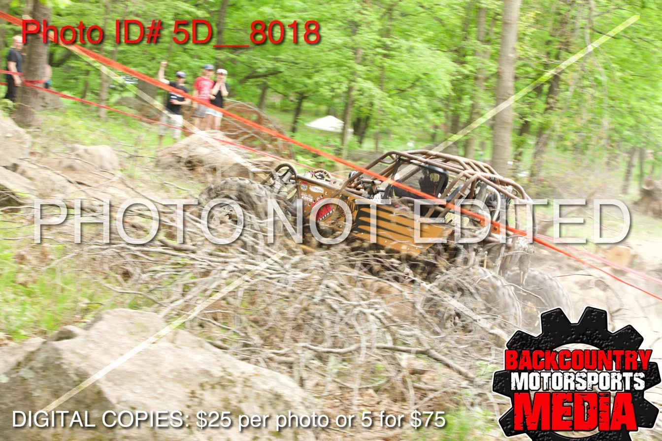 5D__8018.jpg