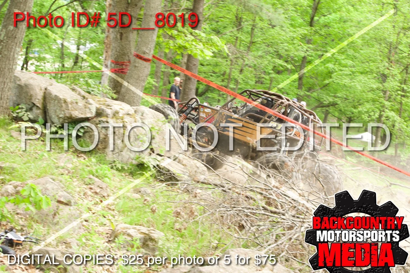 5D__8019.jpg