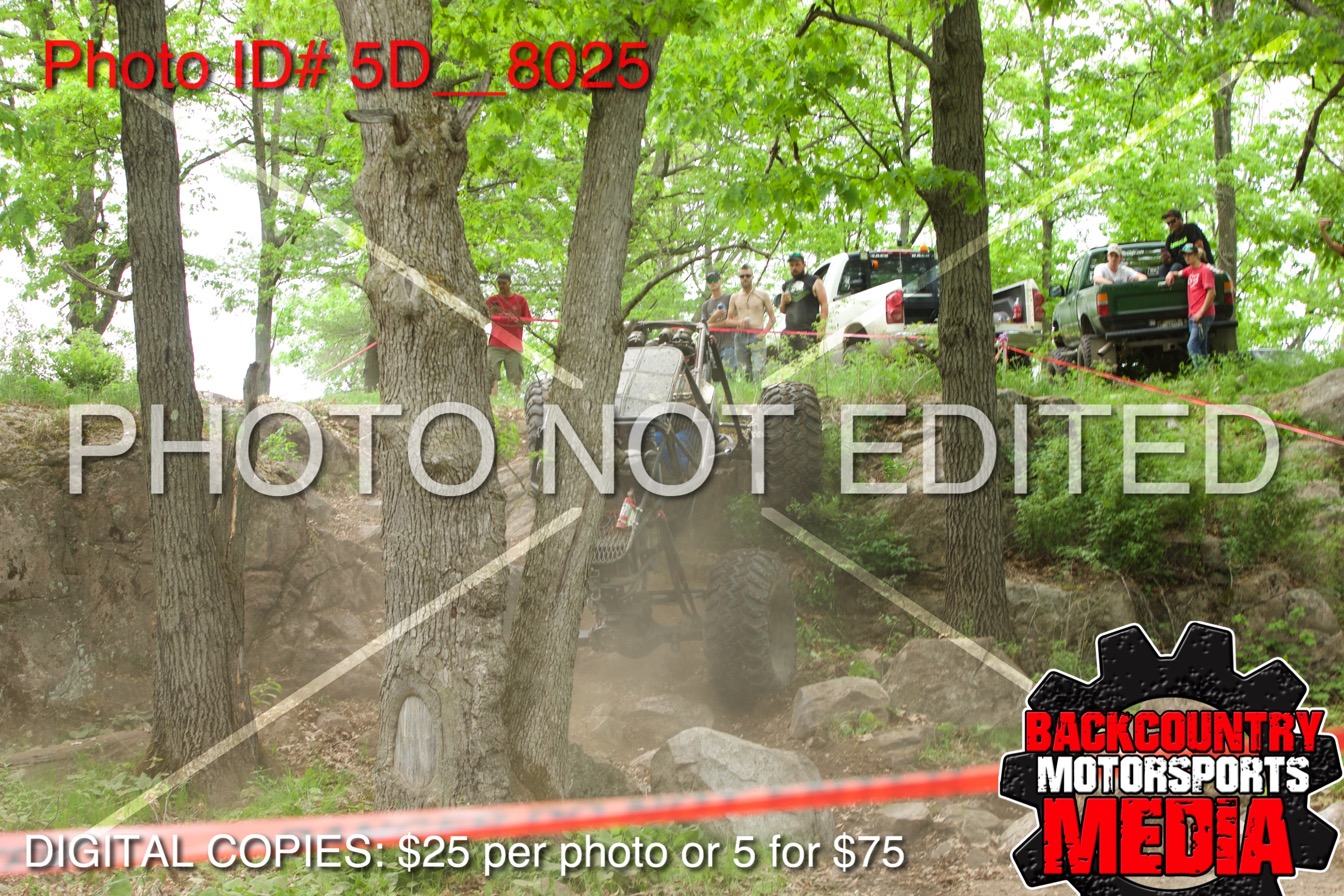5D__8025.jpg