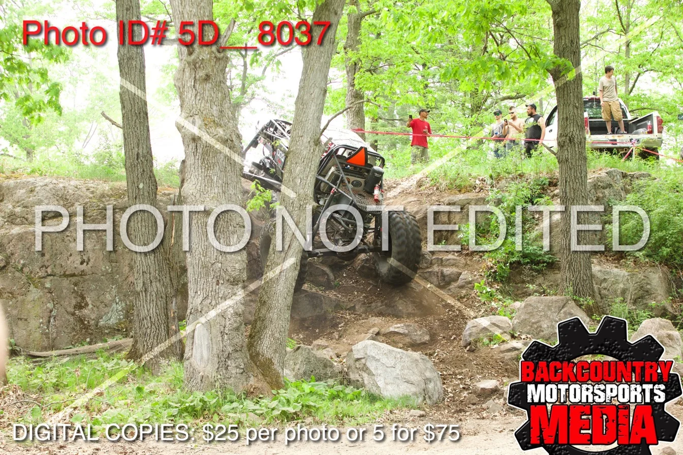 5D__8037.jpg