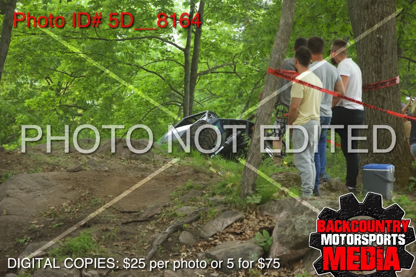 5D__8164.jpg