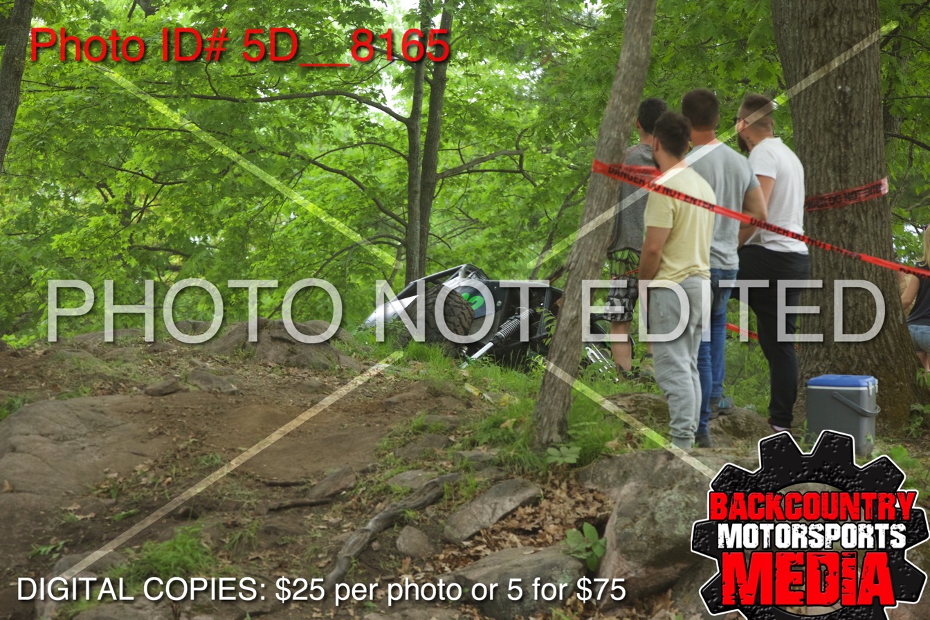 5D__8165.jpg